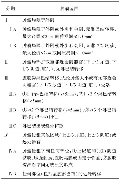 表1外阴癌FIGO 2009分期